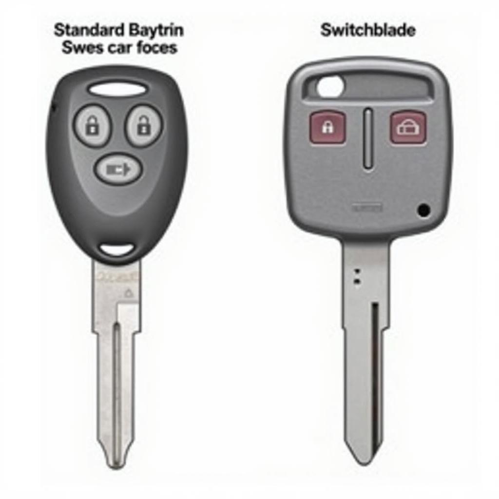 2005 Nissan Sentra Key Fob Types: Standard and Switchblade