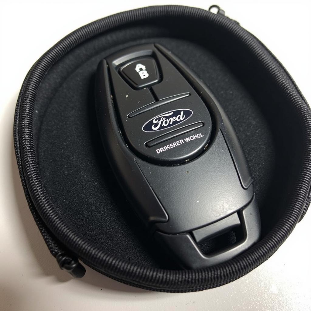 2013 Ford Fusion Key Fob Case Protecting from Scratches, Drops, and Dust