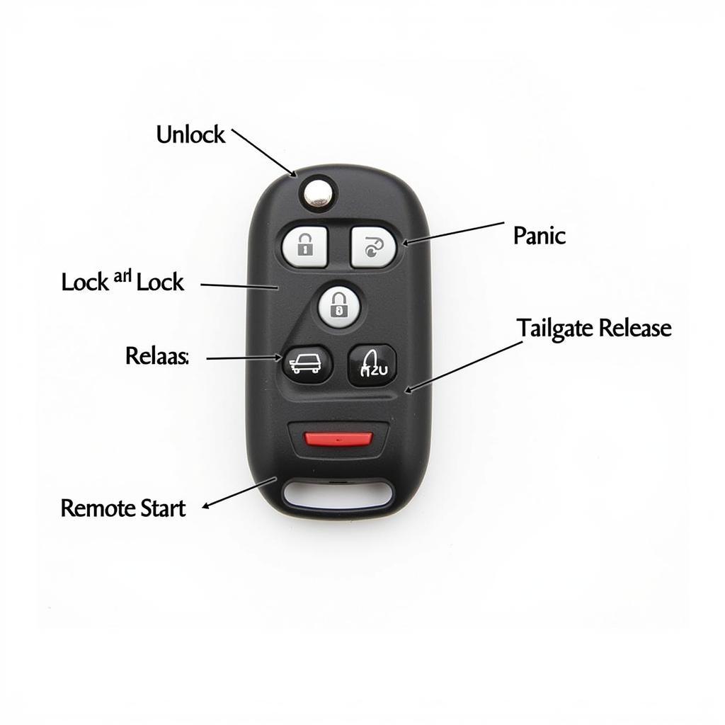 2014 Nissan Quest Key Fob Functions