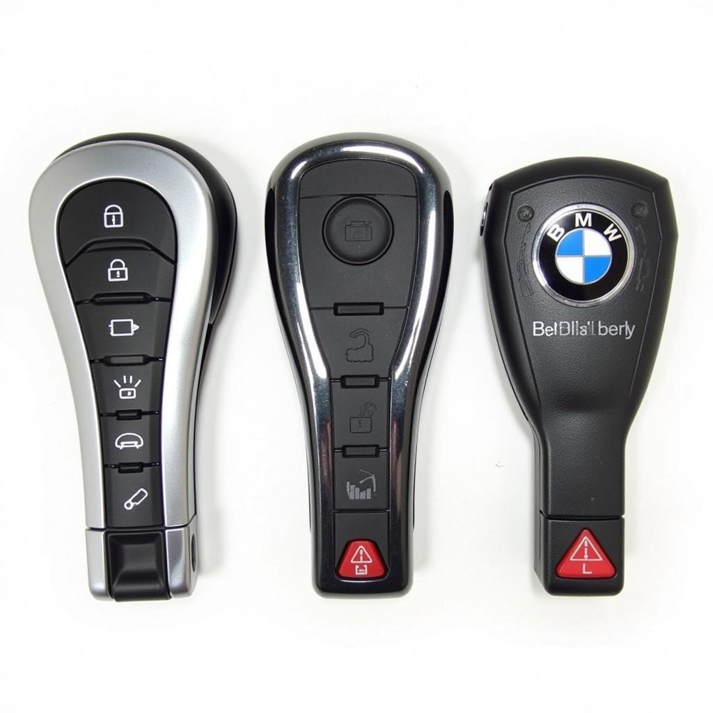 Various 2015 BMW Key Fob Models