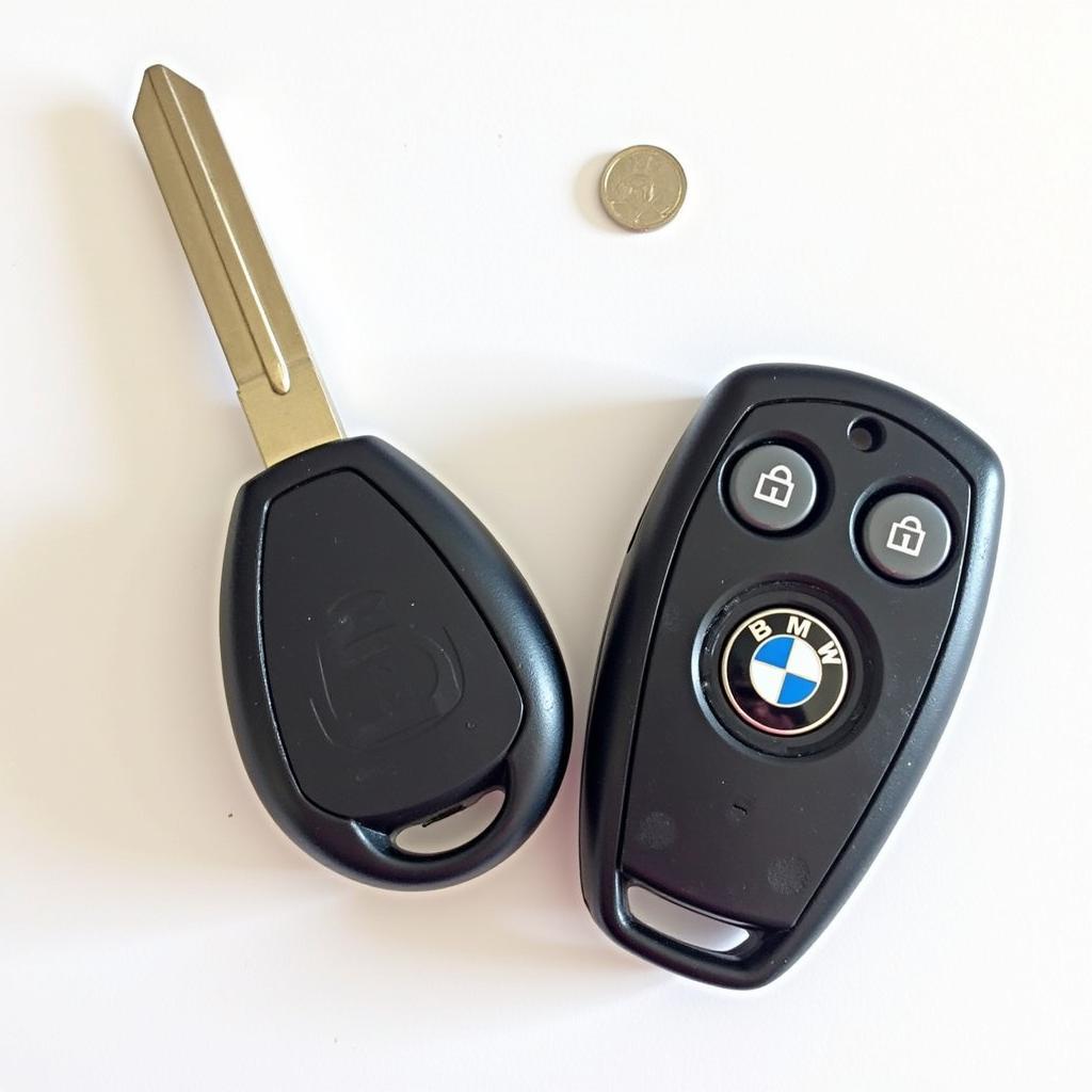 2001 BMW 325i Key Fob and Battery