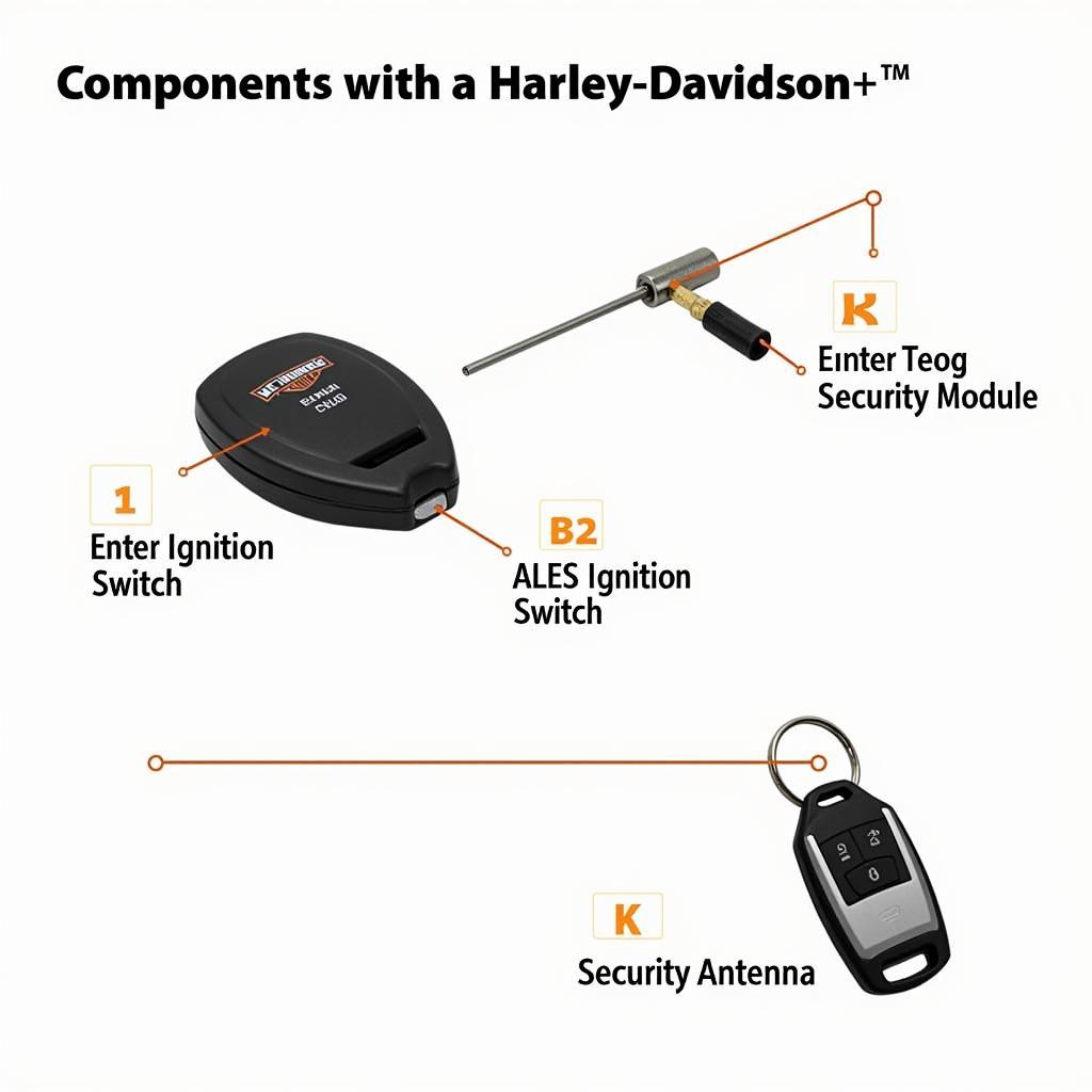 Harley Davidson Motorcycle Security System