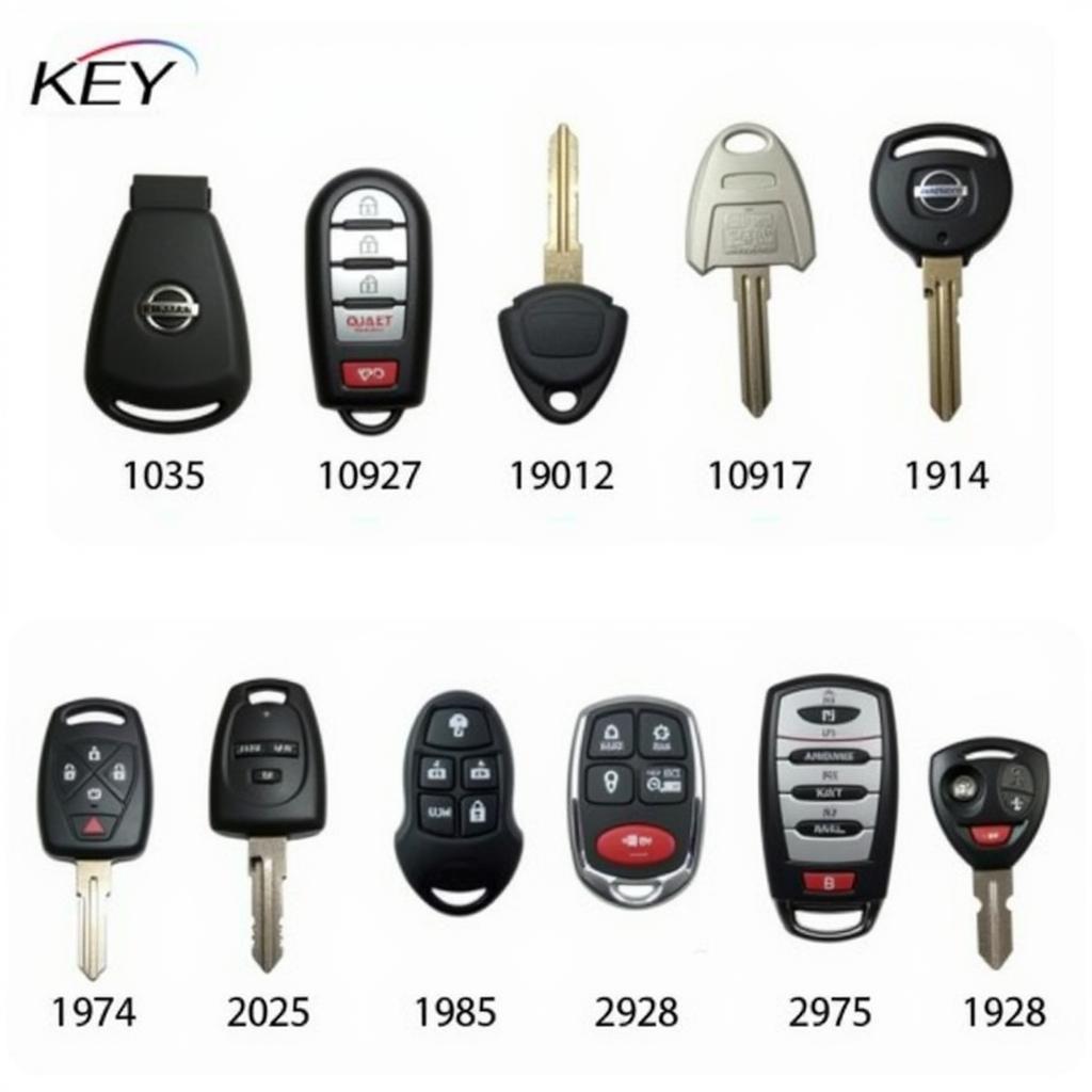 Types of Nissan Key Fobs