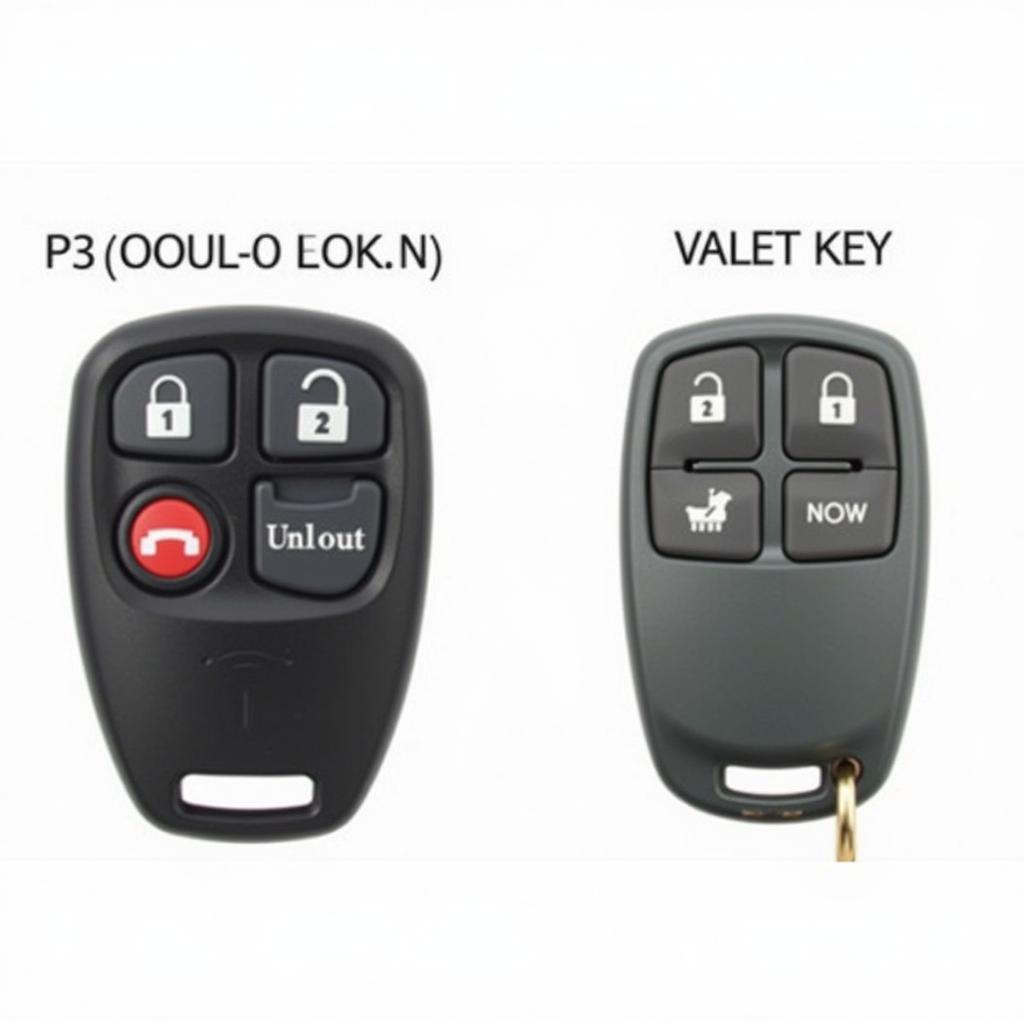 Different 2001 Volkswagen Passat Key Fob Types