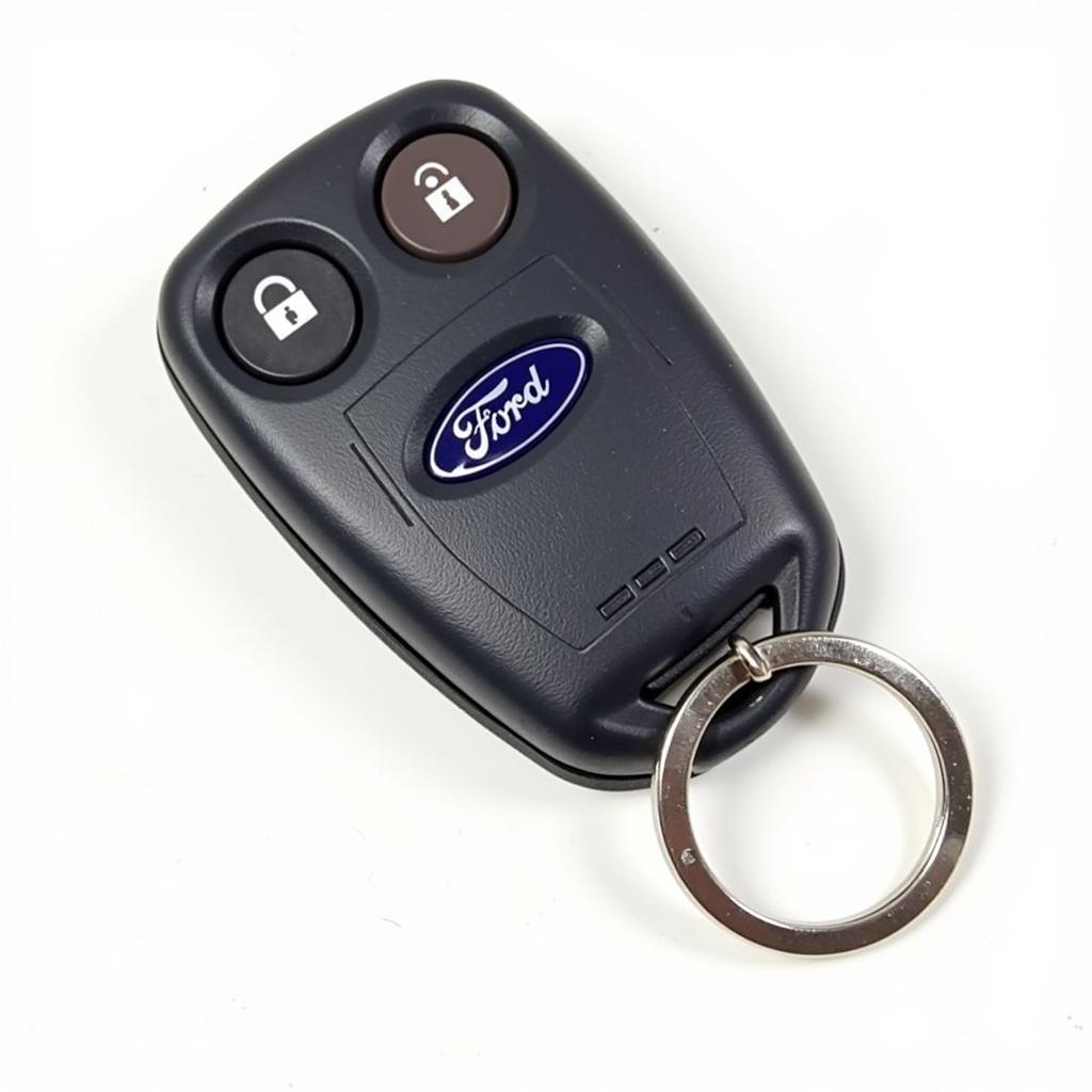 2002 Ford F150 Key Fob Close-up View