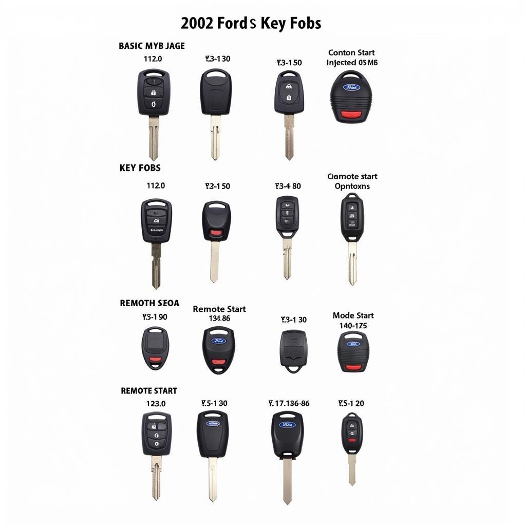 Different 2002 Ford Key Fobs