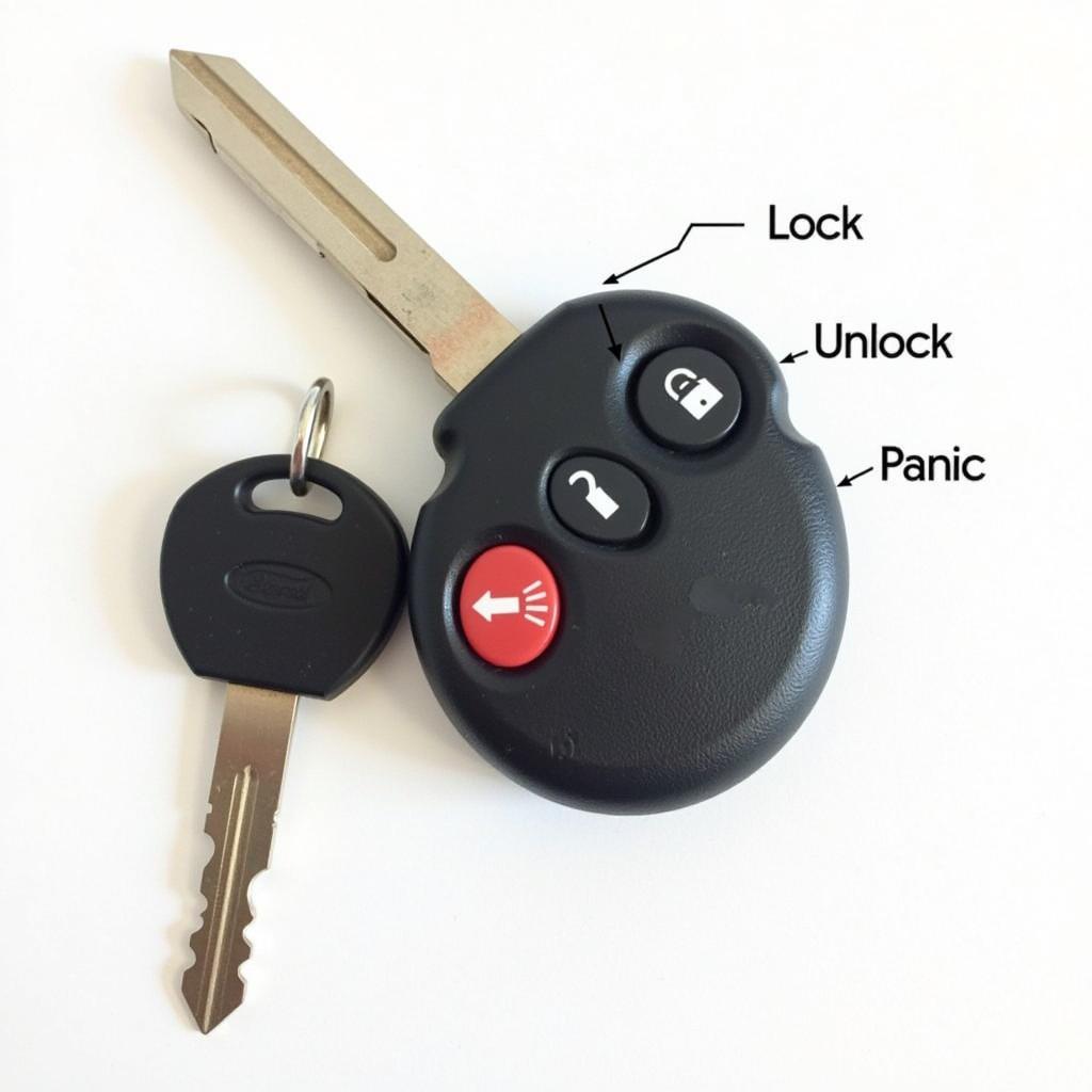 2002 Ford Ranger Key Fob Functions: Lock, Unlock, Panic