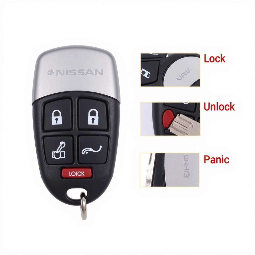 2002 Nissan Sentra Key Fob Functions: Lock, Unlock, Panic