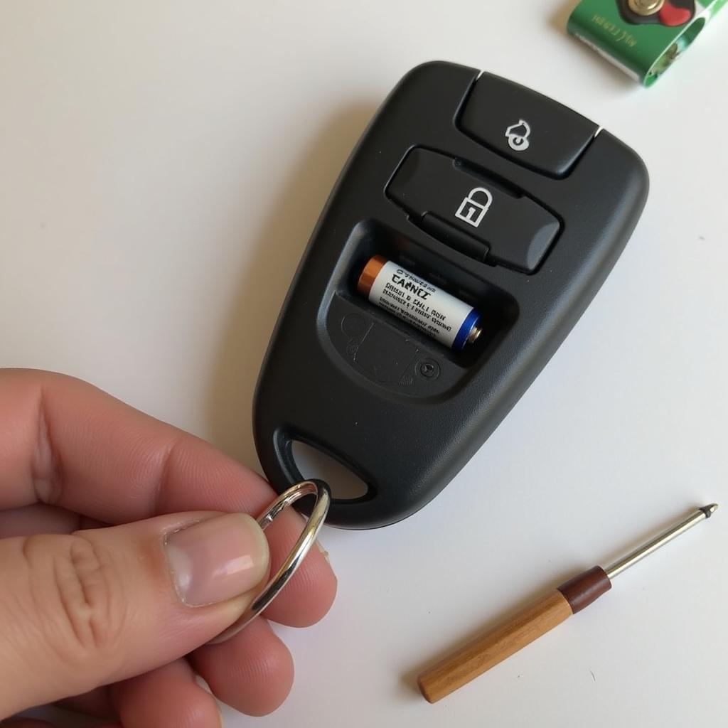 2002 Range Rover Key Fob Battery Replacement Guide