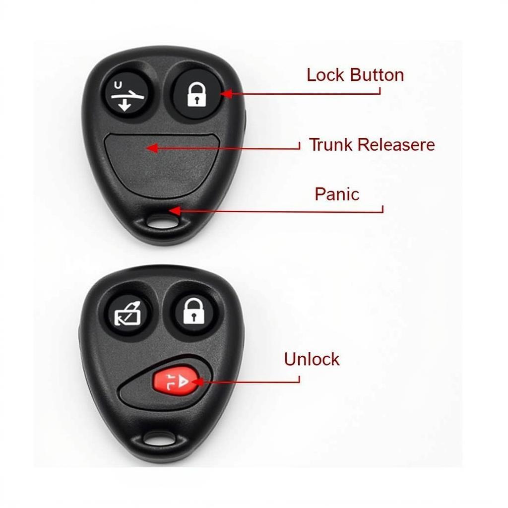 2003 Audi TT Key Fob Functions: Locking, Unlocking, Trunk Release, Panic Alarm