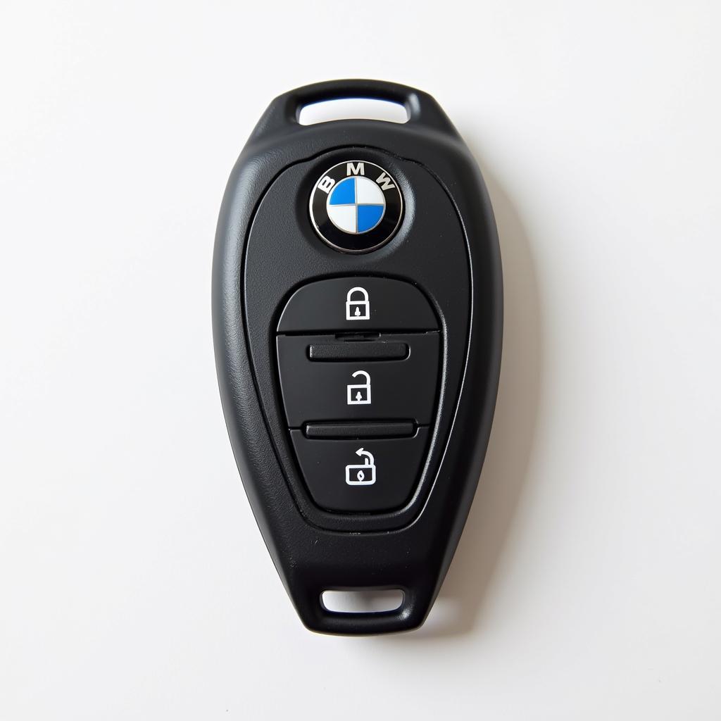 2003 BMW X5 OEM Key Fob