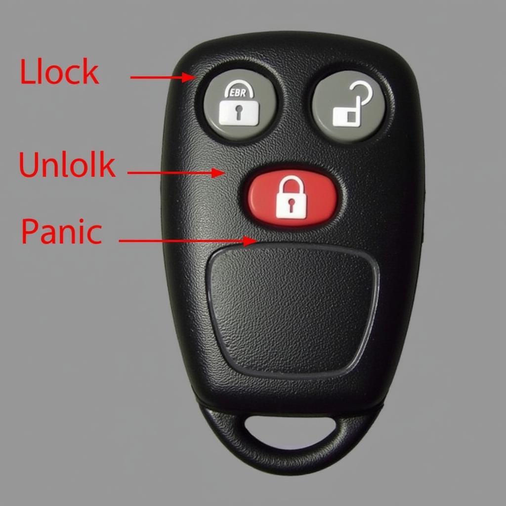 2005 Dodge Ram Key Fob: Lock, Unlock, and Panic Buttons