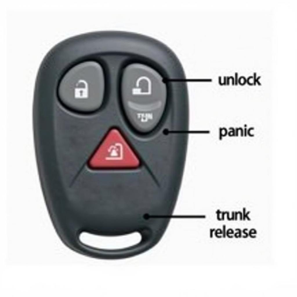 2005 Ford Focus Key Fob Functions - Lock, Unlock, Panic, Trunk