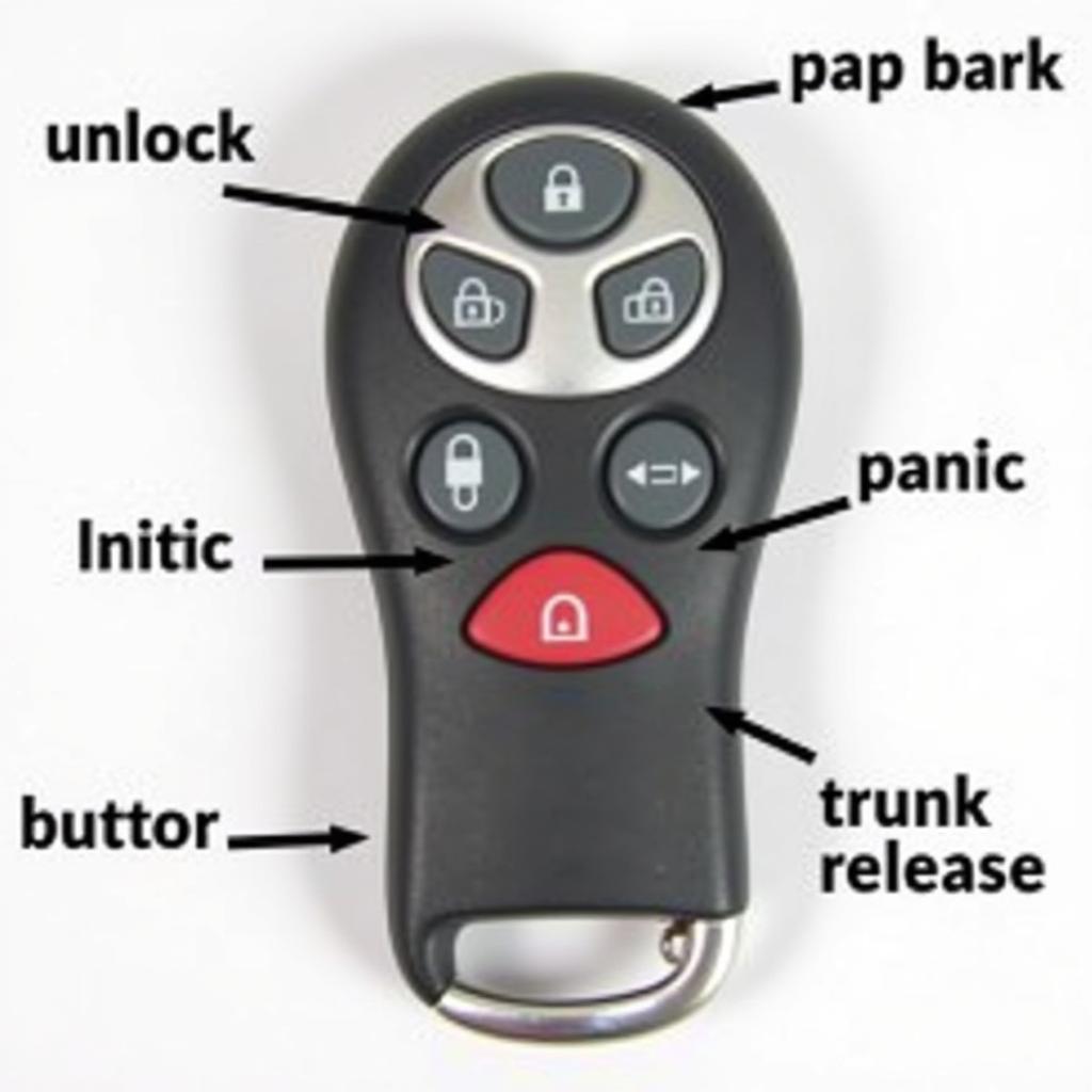 2007 Toyota Prius Key Fob Functions Explained