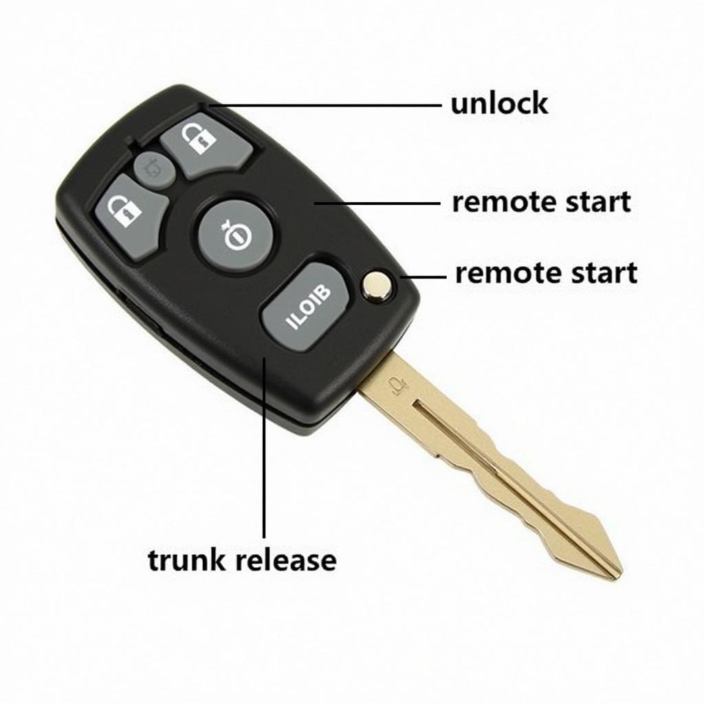 2008 Lincoln Navigator Key Fob Functions: Locking, Unlocking, Remote Start, Panic Alarm, and Trunk Release