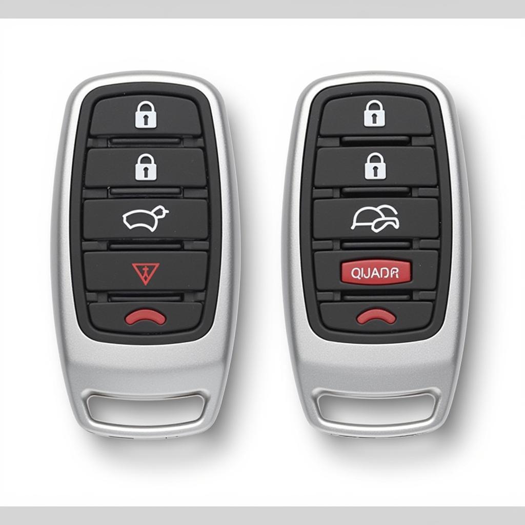 2008 Volkswagen Passat Key Fob Types: Basic Remote and Advanced Key