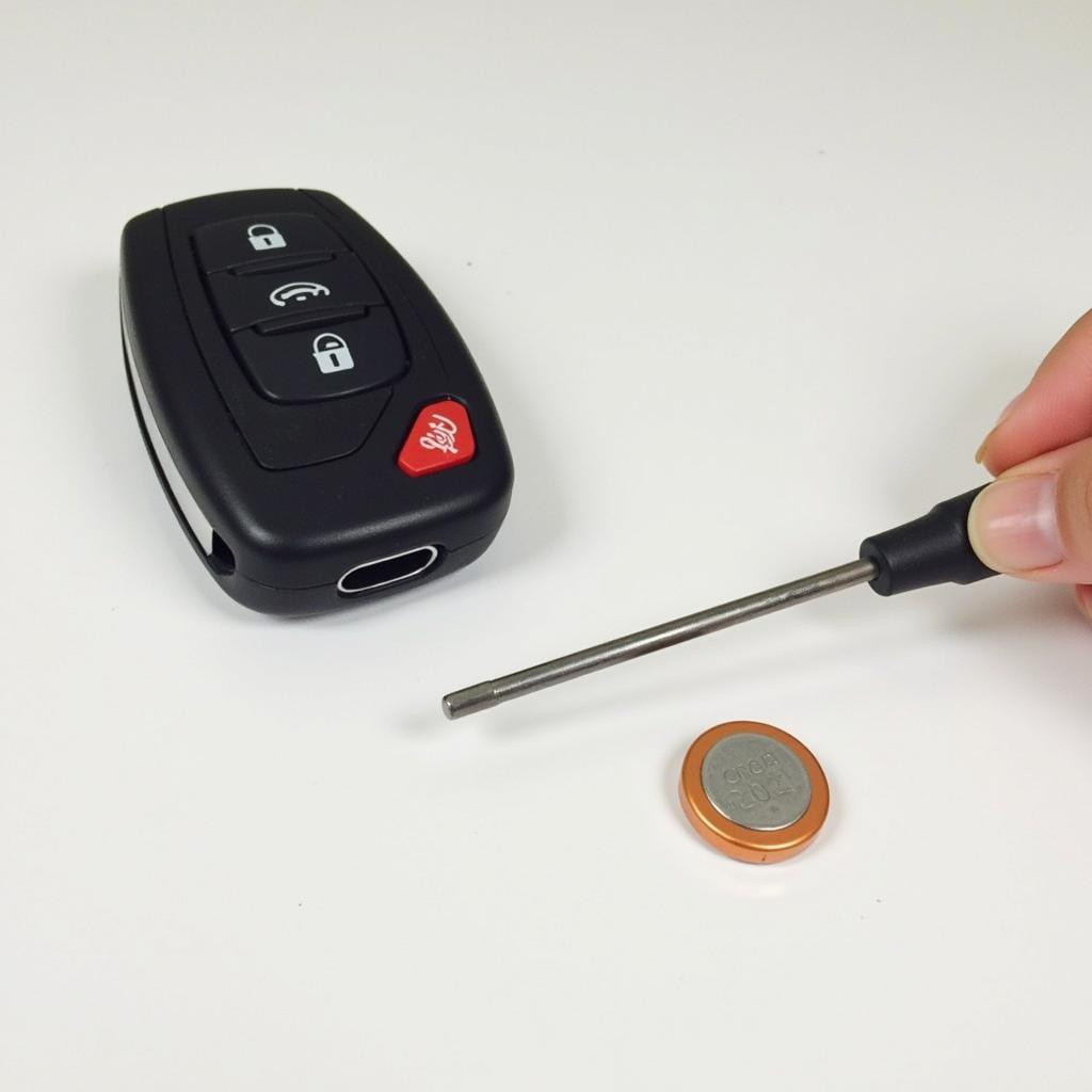 2009 BMW 328xi Key Fob Battery Replacement Tools - Flathead Screwdriver and CR2032 Battery