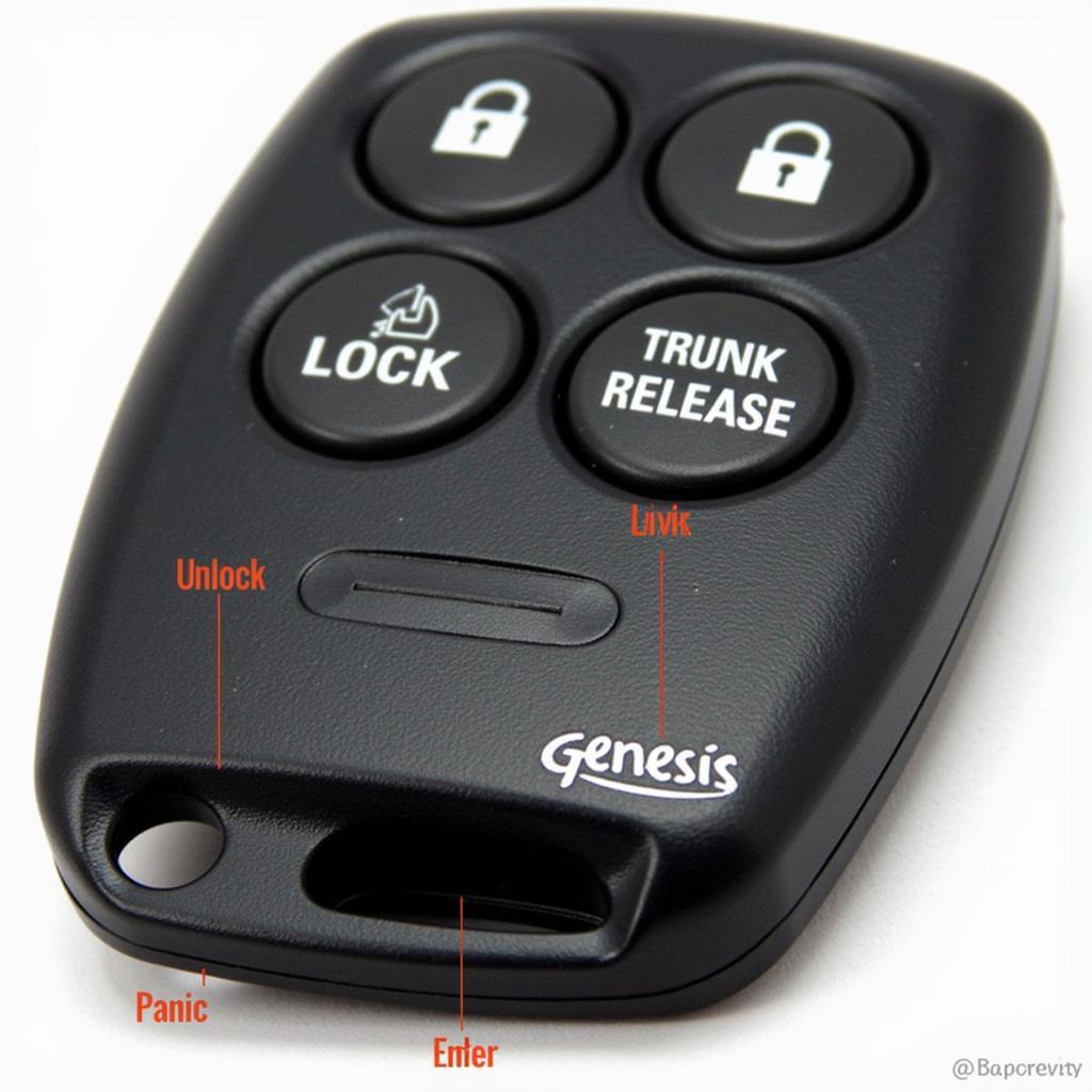 2009 Genesis Smart Key Fob Features and Buttons