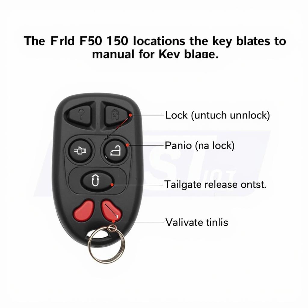 2010 Ford F150 Key Fob Functions