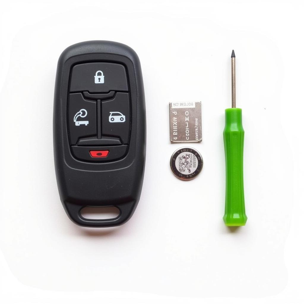 2013 Nissan Rogue Key Fob and Battery