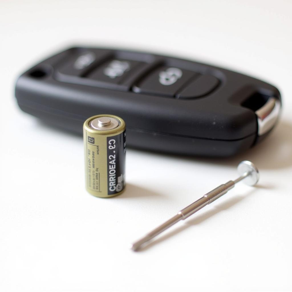 2014 Town and Country Key Fob Battery Replacement Tools