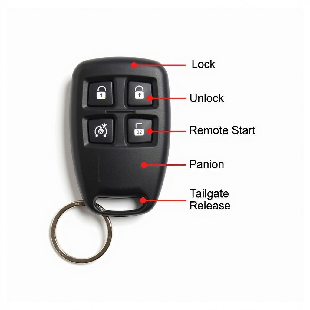 2019 Dodge Ram 1500 Key Fob Functions Explained