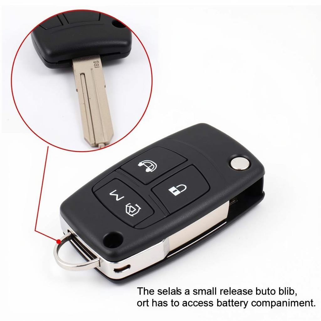 2019 Ford Edge Key Fob Battery Location: Identifying the release button and slot for battery replacement.