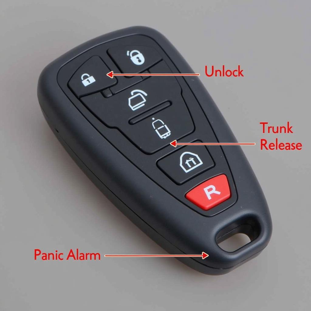 BMW Key Fob Basic Functions: Lock, Unlock, Trunk, Panic