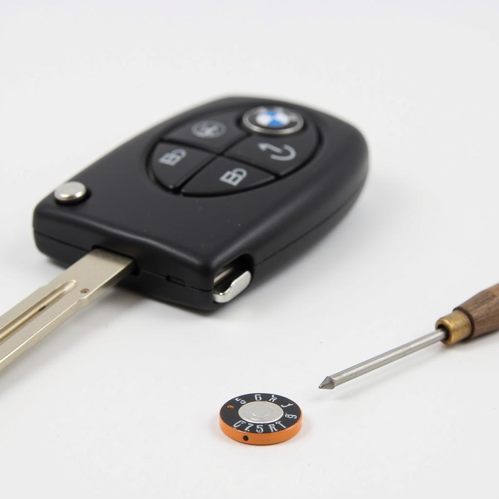 BMW Key Fob Battery Replacement Tools