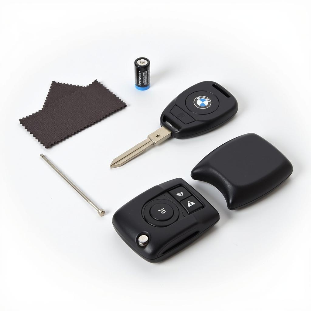 Maintaining Your BMW Key Fob