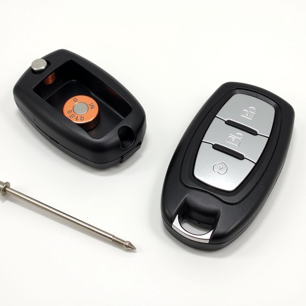 Chrysler 200 Key Fob Battery Replacement Guide