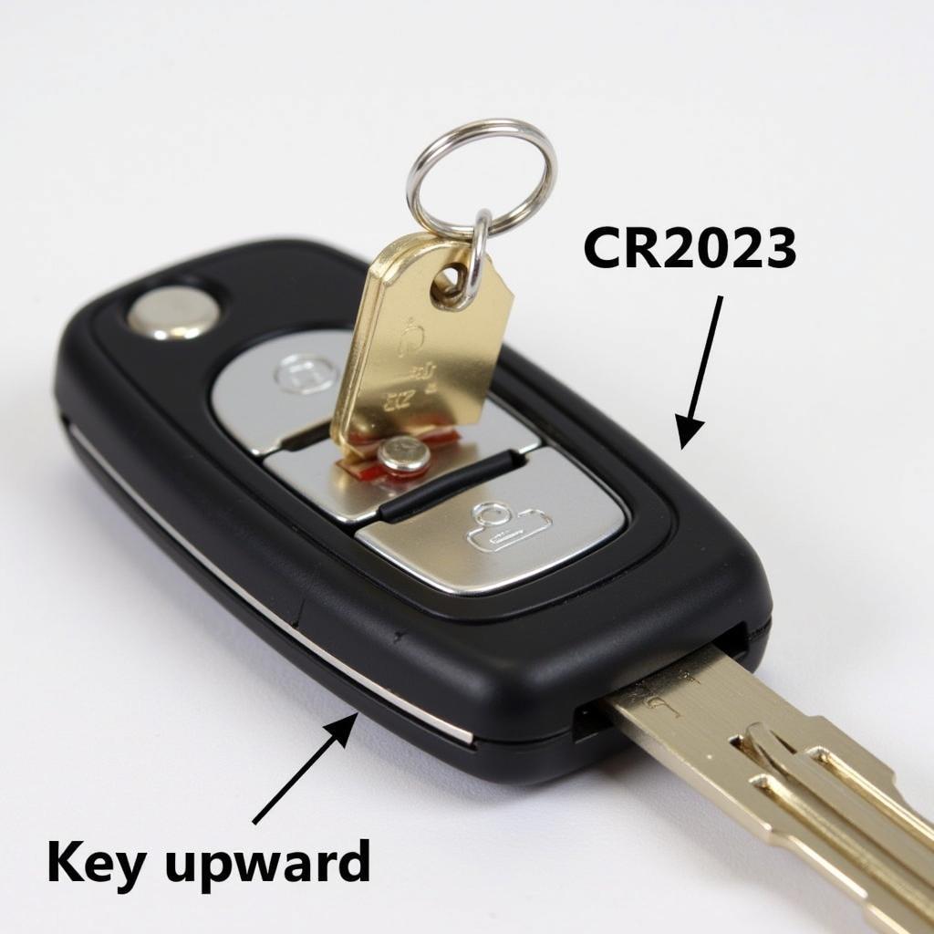 Correct CR2025/CR2032 Battery Installation