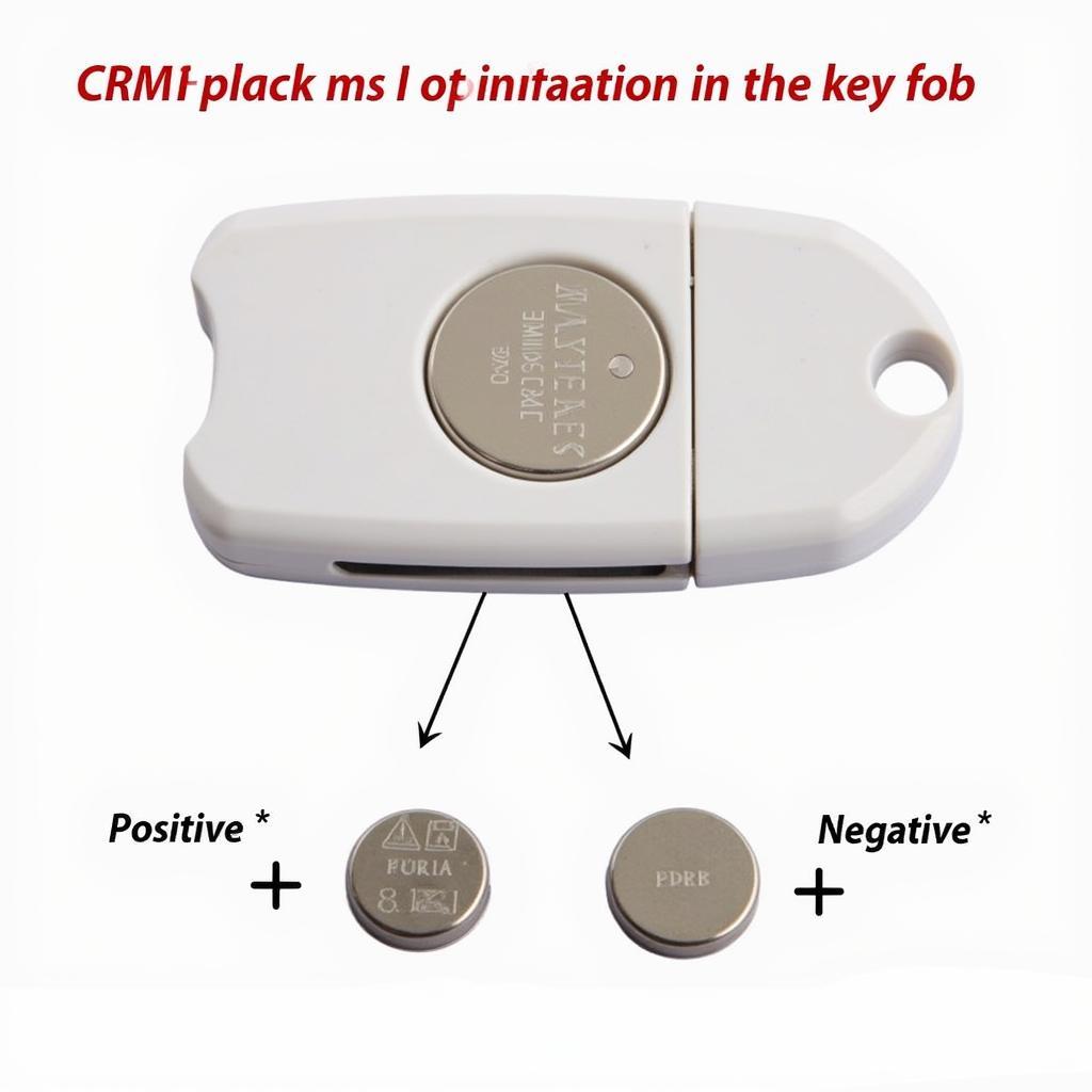 CR2032 Battery Positive and Negative Orientation