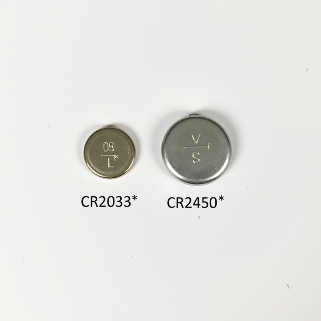 CR2032 and CR2450 Batteries for BMW Key Fobs