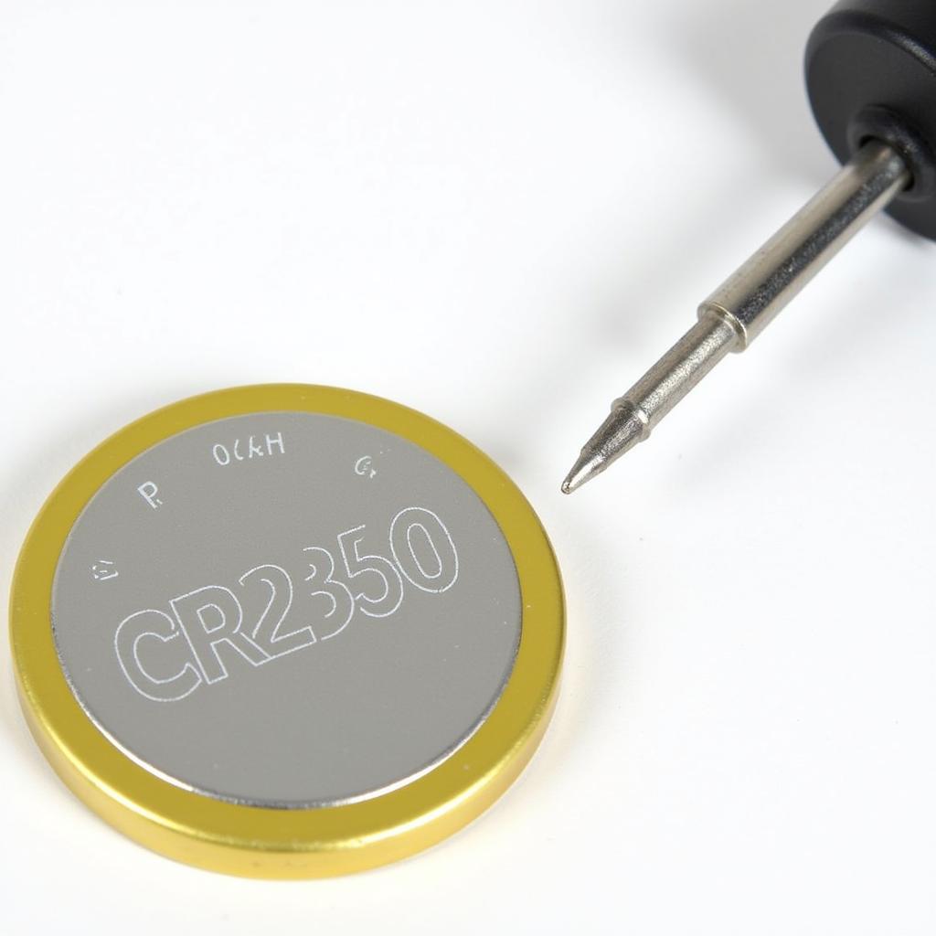 CR2350 Battery and Flathead Screwdriver