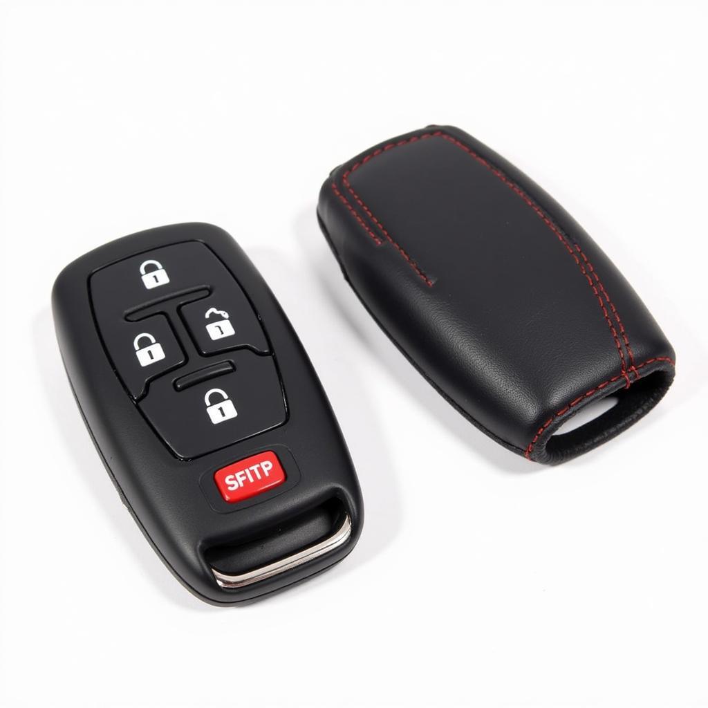 Ford Freestar Key Fob in a Protective Case