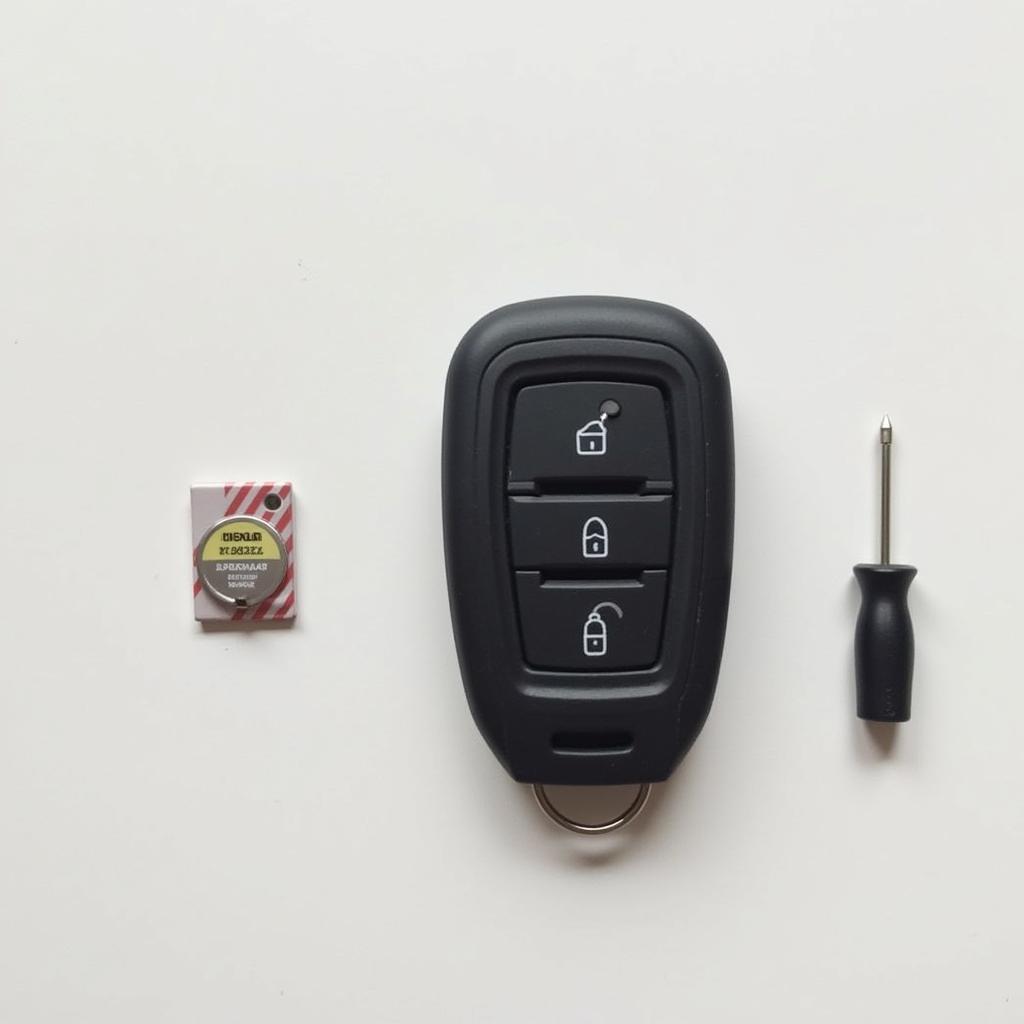 Nissan Rogue Sport key fob and CR2032 battery