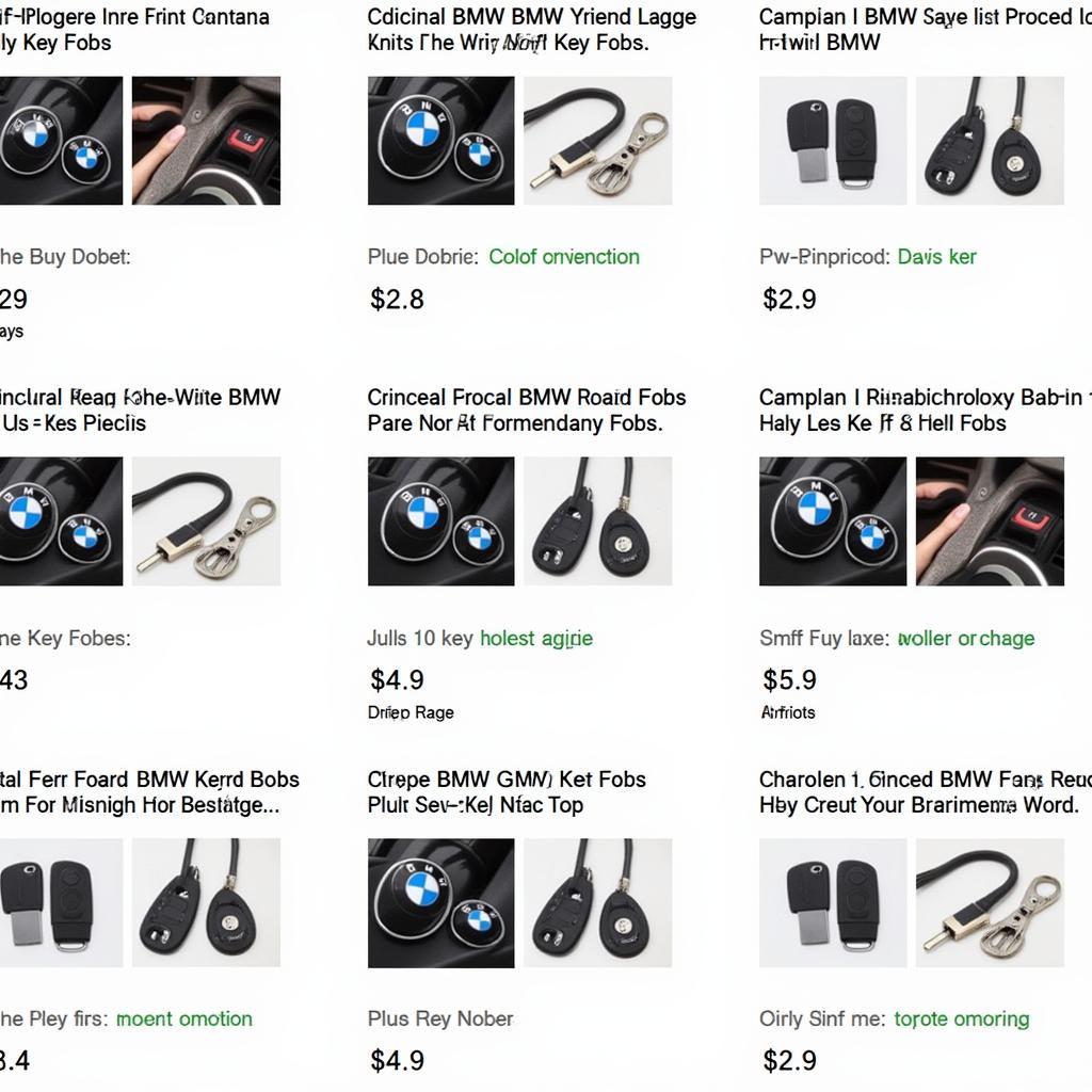 Online Retailers Selling BMW Key Fobs