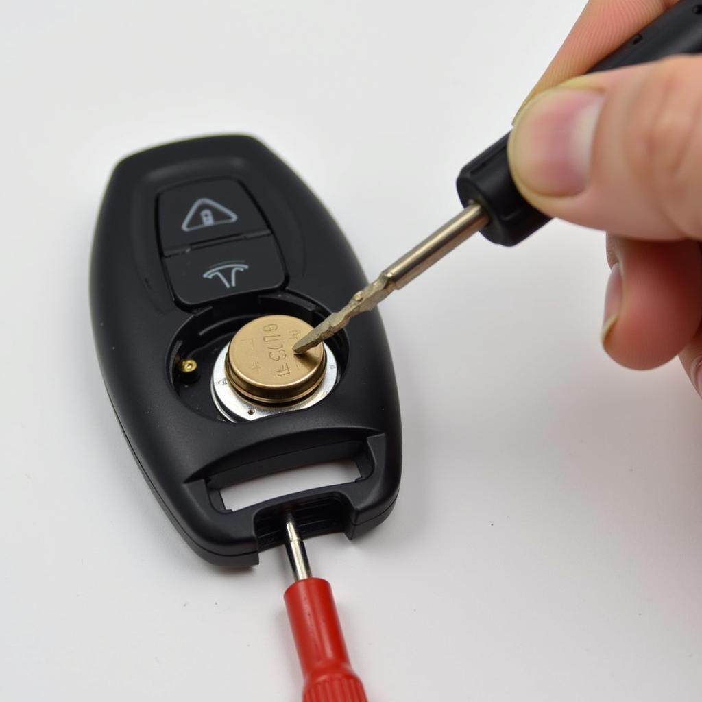 Tesla Key Fob Battery Replacement Guide