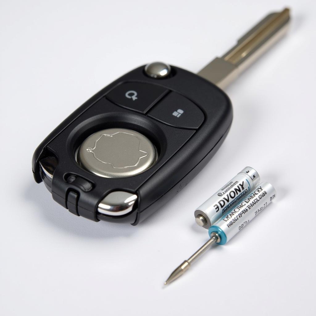 Replacing the Battery in a Toyota Key Fob