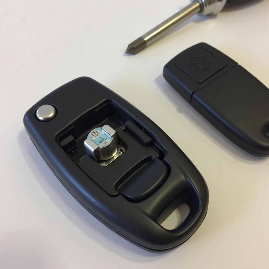 VW Passat Key Fob Battery Replacement Guide