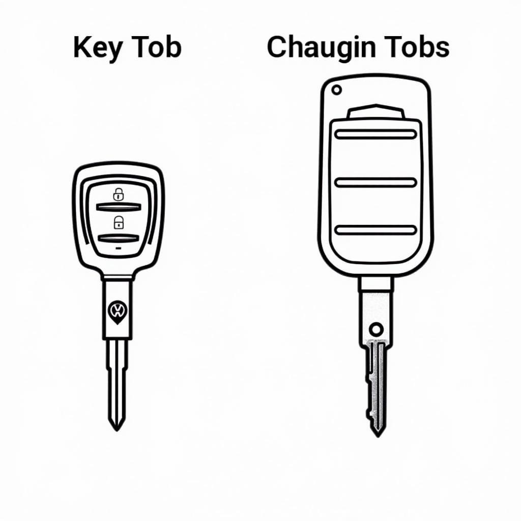 Different Types of VW Touareg Key Fobs: Basic Remote and Advanced Key with Keyless Entry and Start