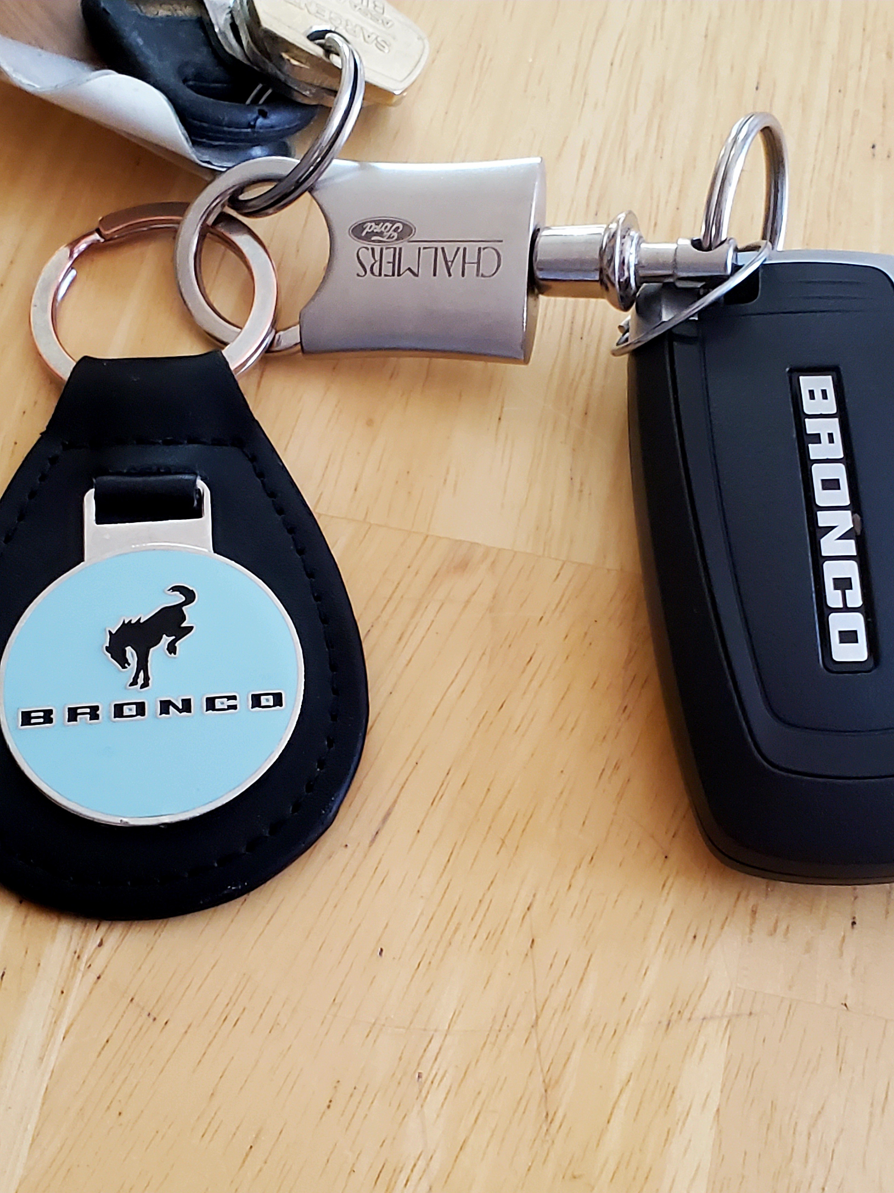 Dealership branded key fob keychain in Cactus Gray color, illustrating a simple and brand-affiliated accessory.